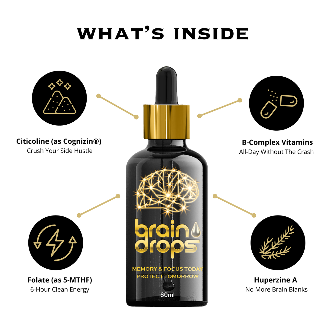 Brain Drops
