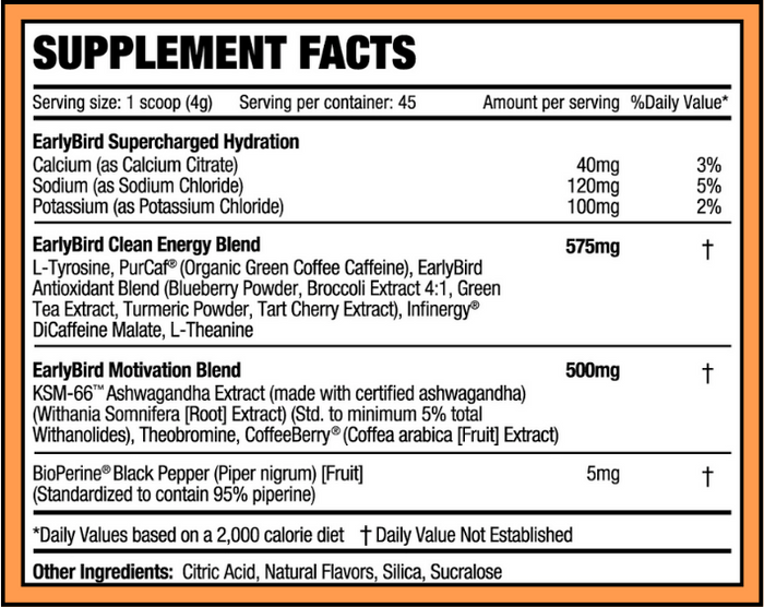 Image without description.