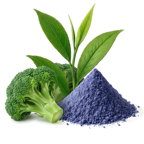 Antioxidant Blend